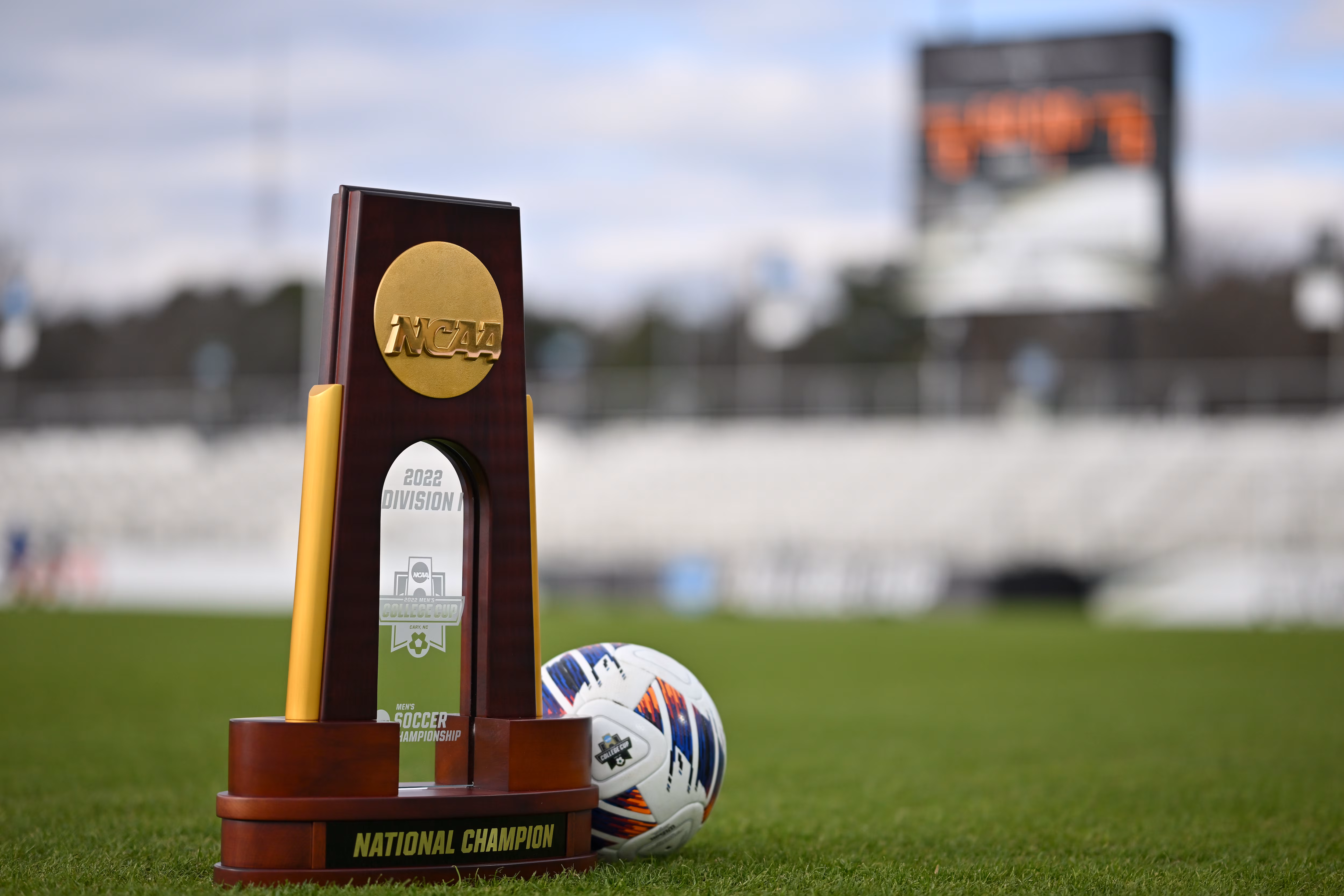 Tenerife Next Academy