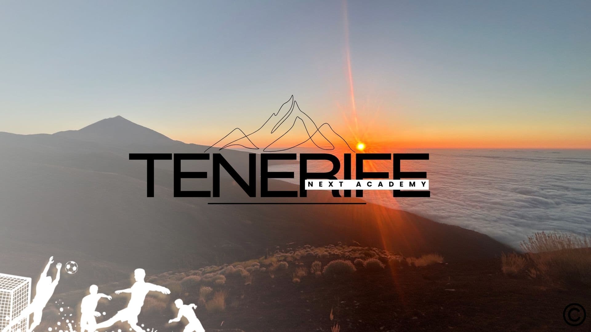 Tenerife Next Academy logo